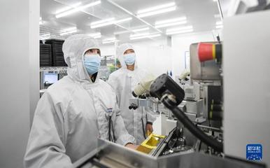 靠譜服務、技術推銷、標準開路——一家光通信企業的“出海秘籍”
